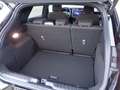 Ford Puma ST-Line 125PS Benzin AUTOMATIK Schwarz - thumbnail 8