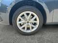 SEAT Leon Style Edition 1.5TSI 115PS Grau - thumbnail 14