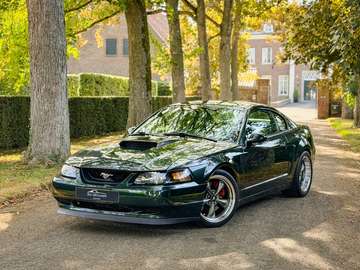 GT BULLITT / DARK HIGHLAND GREEN / 29.000 MLS / PE