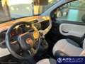 Fiat Panda 1.2 Easy Weiß - thumbnail 7