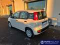 Fiat Panda 1.2 Easy Weiß - thumbnail 4