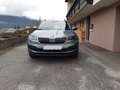 Skoda Karoq Karoq 1,5 TSI 4x4 Style Limited DSG Style Limited Grau - thumbnail 1
