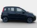 Fiat Panda City Life 70 PS Hybrid Schalter Schwarz - thumbnail 3
