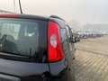 Fiat Panda City Life 70 PS Hybrid Schalter Schwarz - thumbnail 11