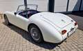 MG MGA 1600 MK II , Perfekter-Top-Zustand ! Historisch ! Weiß - thumbnail 9
