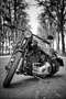 Harley-Davidson Bad Boy EVO Springer Schwarz - thumbnail 4