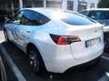 Tesla Model Y Model Y 2021 Single Motor Rwd 50 KW/H - GM194YG Bianco - thumbnail 9