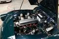 Triumph TR3 Grün - thumbnail 19