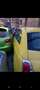 Fiat 500 500 1.2i Diesel Geel - thumbnail 3