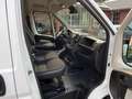 Citroen JUMPER AHK Kamera KLIMA Dachträger Regale Blanc - thumbnail 9