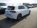 Volkswagen Golf VIII 1.5 TSI OPF Active Klima Navi Rückfahrkamera Wit - thumbnail 4