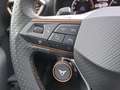 CUPRA Formentor VZ 2.0 TSI 4Drive 228 KW (310 PS) DSG Grau - thumbnail 23
