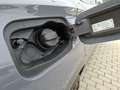 CUPRA Formentor VZ 2.0 TSI 4Drive 228 KW (310 PS) DSG Grau - thumbnail 41