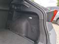 CUPRA Formentor VZ 2.0 TSI 4Drive 228 KW (310 PS) DSG Grau - thumbnail 13