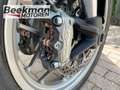 Ducati Multistrada 950 Rot - thumbnail 11
