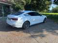 Audi A5 A5 Sportback 35 TFSI Advan S tronic 110kW Advanced Blanco - thumbnail 10