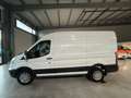 Ford Transit 350 L2H2*4x4 ALLRAD*ATM MOTOR*ATM GETRBE Blanc - thumbnail 5