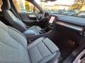 Volvo XC40 XC40 2025 2.0 b3 Core auto Grey - thumbnail 8