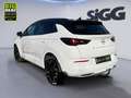 Opel Grandland 1.5 Diesel Ultimate AHK, Scheckheft Wit - thumbnail 4