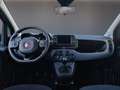 Fiat Panda Panda 1.0 FireFly S&S Hybrid Pandina Rojo - thumbnail 8