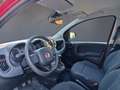 Fiat Panda Panda 1.0 FireFly S&S Hybrid Pandina Rojo - thumbnail 13