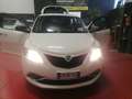 Lancia Ypsilon Ypsilon 1.2 69 CV 5 porte Gold Platinum Blanc - thumbnail 4