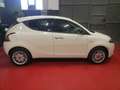 Lancia Ypsilon Ypsilon 1.2 69 CV 5 porte Gold Platinum Blanc - thumbnail 8