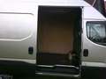 Iveco Daily GKa 35 S ... V Radstand 3520 L Grau - thumbnail 9