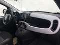 Fiat Panda Cross MY22 GARMIN Hybrid 1.0 GSE 51kw Grün - thumbnail 14