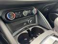 Alfa Romeo Stelvio 2.2 TDI 210 CV AT8 Q4 VELOCE Noir - thumbnail 16
