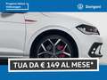 Volkswagen Polo GTI 2.0 tsi gti dsg Bianco - thumbnail 3