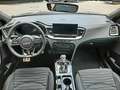 Kia ProCeed / pro_cee'd 1.5T DCT GTL TECH 18ZOLL MJ25 AHK Gris - thumbnail 13