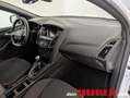 Ford Focus St-Line 1.0 EcoBoost Weiß - thumbnail 19