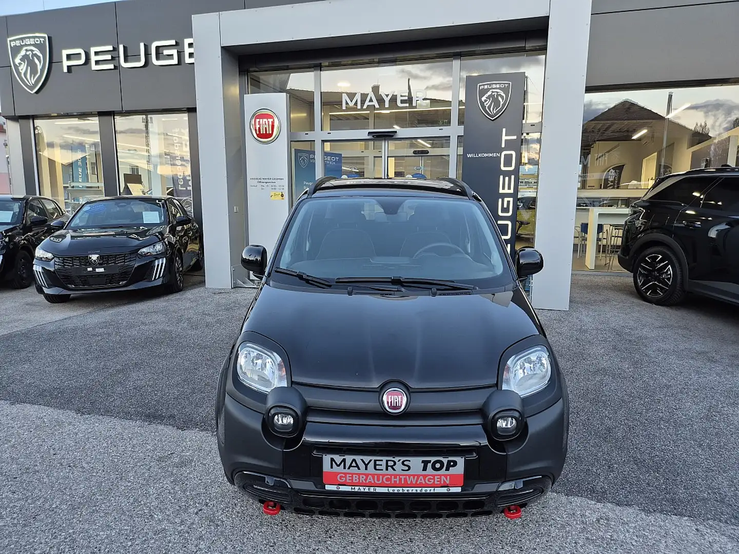 Fiat Panda 1,2 70 City Cross Noir - 2