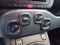 Fiat Panda 1.0 FireFly S&S Hybrid Noir - thumbnail 12