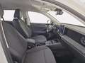 Volkswagen Tiguan 2.0 tdi life 150cv dsg Weiß - thumbnail 8