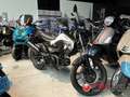Kymco K-PW Grau - thumbnail 1