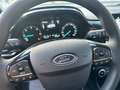 Ford Fiesta Fiesta VII 2017 5p 5p 1.5 tdci Plus 85cv Grau - thumbnail 14