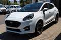 Ford Puma ST-Line X MHEV PANODACH 4,99% FIN* AHK Weiß - thumbnail 5