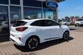 Ford Puma ST-Line X MHEV PANODACH 4,99% FIN* AHK Weiß - thumbnail 8