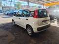 Fiat Panda Panda III 2016 1.2 Easy s Bianco - thumbnail 3