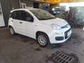 Fiat Panda Panda III 2016 1.2 Easy s Bianco - thumbnail 1