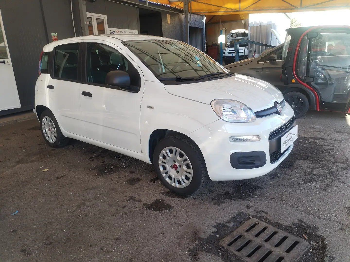 Fiat Panda Panda III 2016 1.2 Easy s Bianco - 1