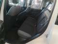 Fiat Panda Panda III 2016 1.2 Easy s Bianco - thumbnail 6