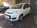 Fiat Panda Panda III 2016 1.2 Easy s Bianco - thumbnail 2