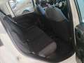 Fiat Panda Panda III 2016 1.2 Easy s Bianco - thumbnail 7