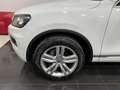 Volkswagen Touareg Touareg 3.0 V6 tdi Executive 245cv tiptronic Blanc - thumbnail 15