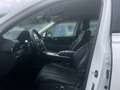 Genesis GV80 Premium 4WD 3.0 D VGT EU6d DPF-MAYEN Weiß - thumbnail 7