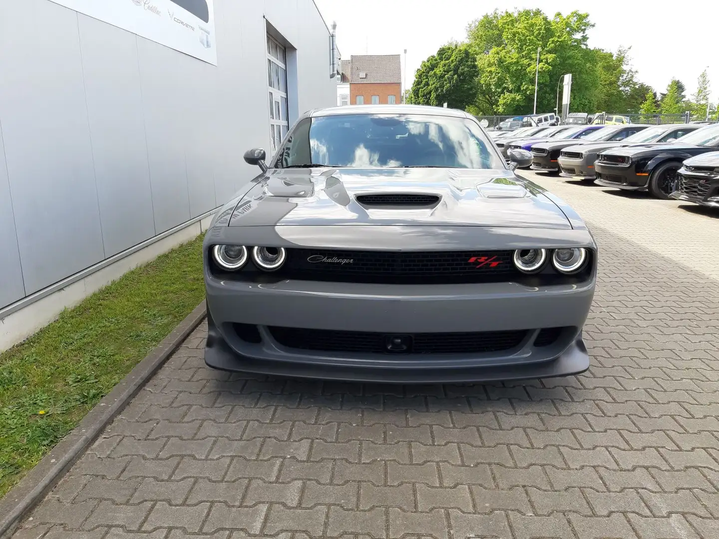 Dodge Challenger Dodge Challenger Scat Pack 6,4 V8 Wide Body Gris - 2