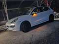 Porsche Cayenne GTS Sport Design - Carbonio Bianco - thumbnail 8